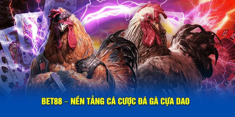 BET88 – Trang web cá cược đá gà cựa dao được đánh giá cao