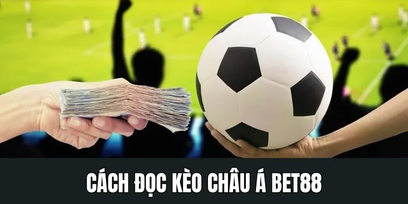 Cách đọc kèo châu Á chi tiết dễ hiểu cho người mới