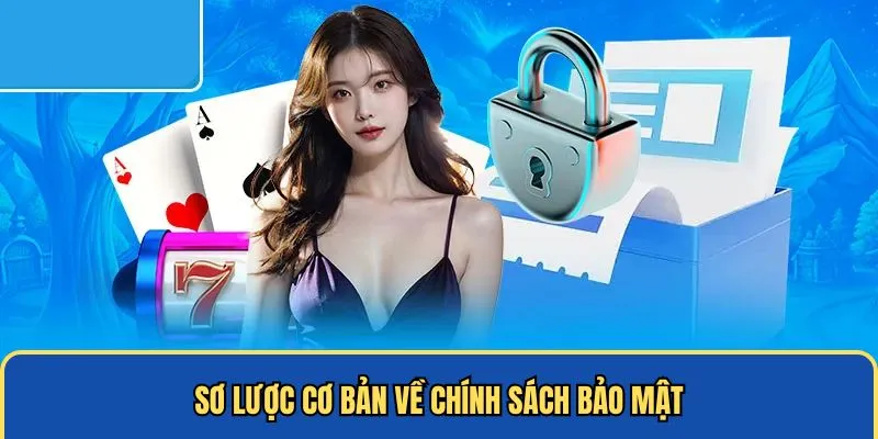 Sơ lược cơ bản về chính sách bảo mật
