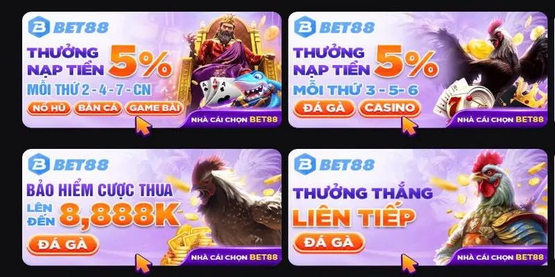Chơi chọi gà nhận ưu đãi lên tới hàng nghìn tỷ